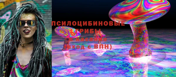 гашик Бронницы