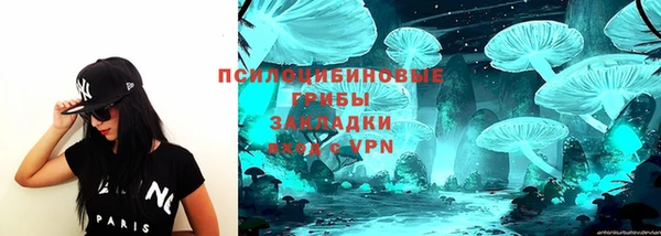 гашик Бронницы