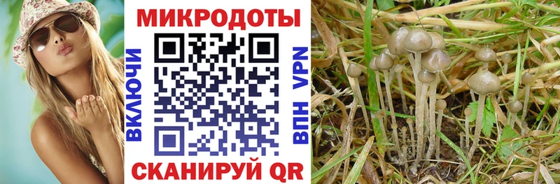 где можно купить   omg зеркало  Галлюциногенные грибы Magic Shrooms  Кирово-Чепецк 